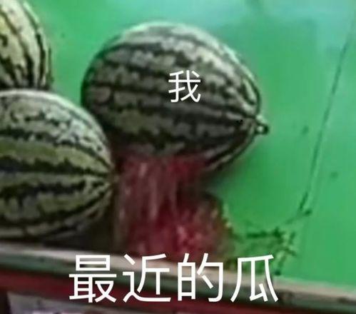 民哥吃瓜,揭秘娱乐圈那些不为人知的幕后故事