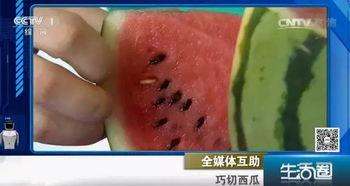 吃瓜不吐籽人,品味人生，笑对风雨