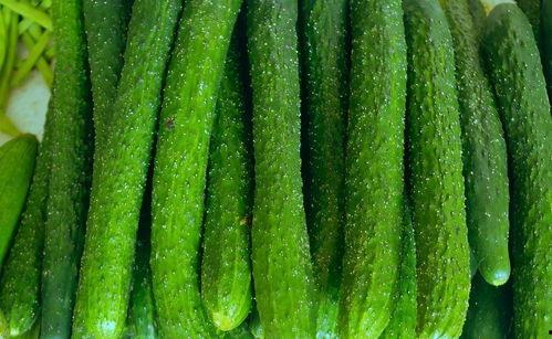 吃瓜就吃好瓜,尽享“吃瓜就吃好瓜”的夏日盛宴