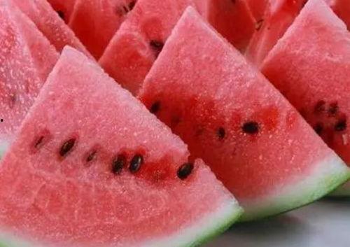 鱼很多在吃瓜,探寻水中美食盛宴