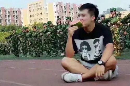 丽娜吃瓜群众,吃瓜群众的视角，揭秘娱乐圈风云