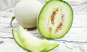 夏不青吃瓜,夏不青的瓜田奇遇记