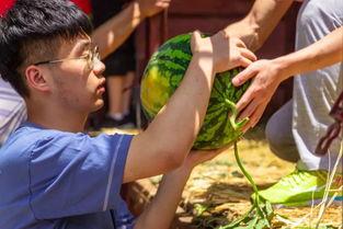 英国吃瓜大学,揭秘大学生们的社交新风尚